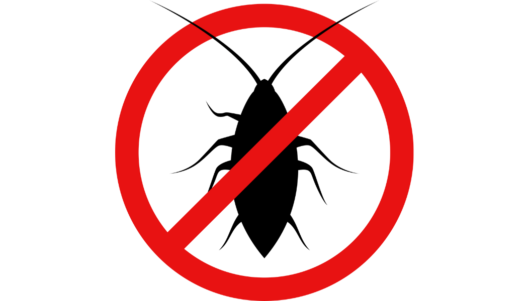 Désinsectisation