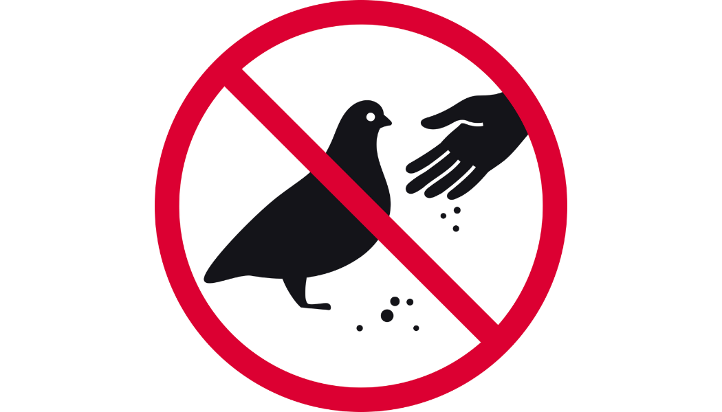 Désinsectisation