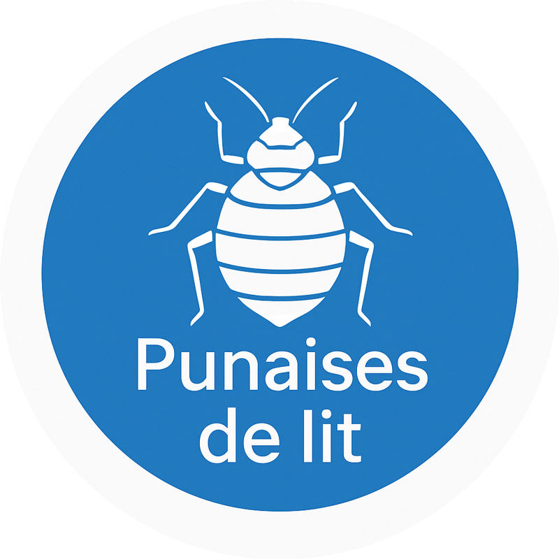 Punaises de lit