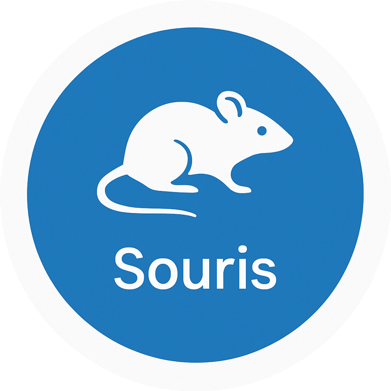 Souris
